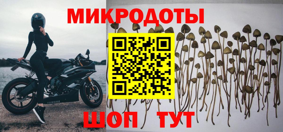 Кстово  Бошки Шишки  Меф МЯУ МЯУ   Вход с VPN  ГАШ  COCAIN 