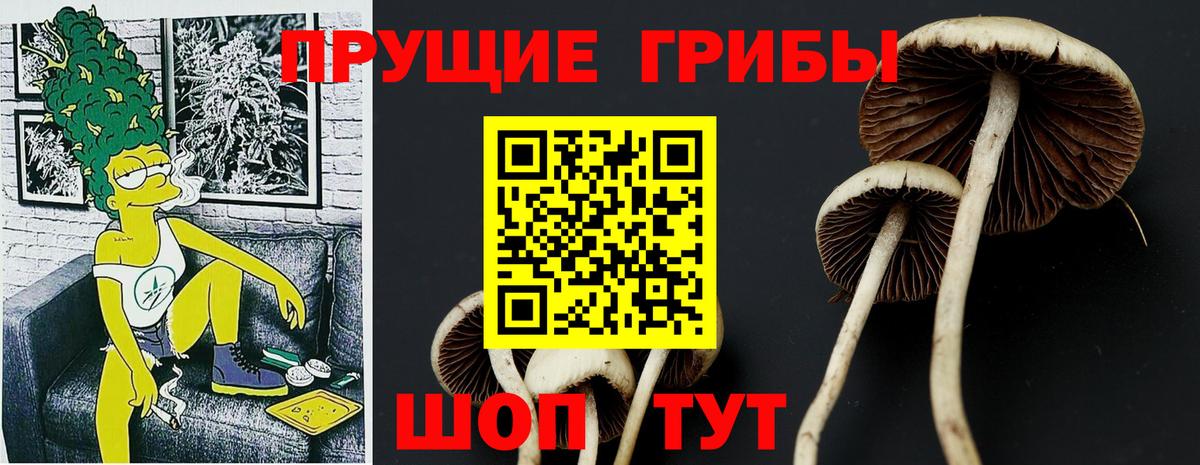 Галлюциногенные грибы ЛСД  Вход с VPN  Кстово 