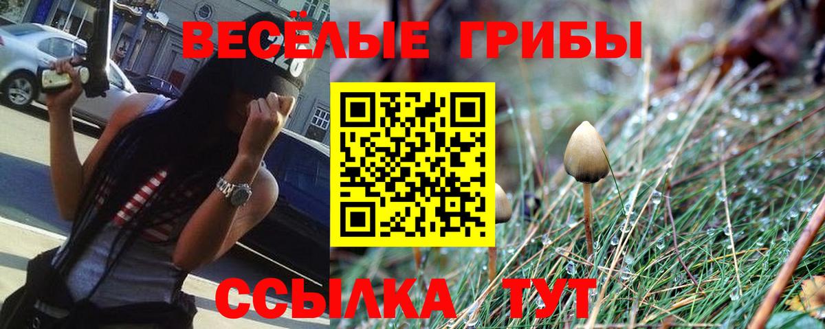 Псилоцибиновые грибы прущие грибы Кстово
